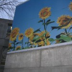 Photograph of a painting of sunflowers with real leaves in front.